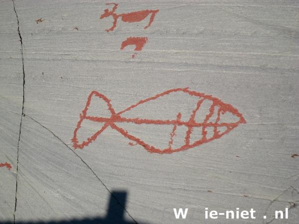 IMG_1667.JPG: Rotstekening van vis.